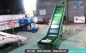 Băng tải PVC tải bèo