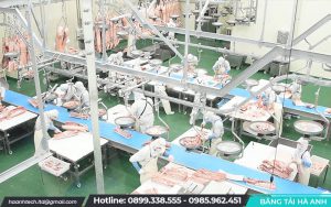 Băng tải ngành thực phẩm