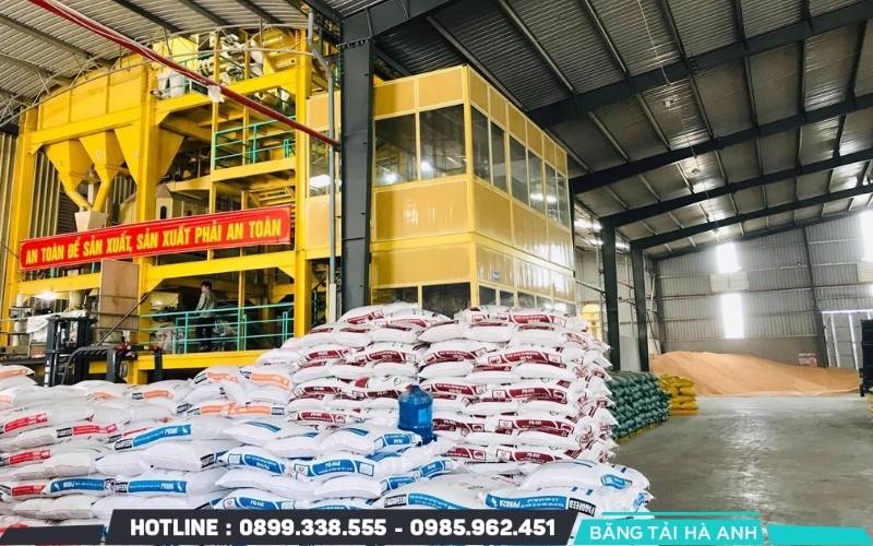 Thức ăn chăn nuôi hoàn thiện được đưa đến máy đóng gói tự động để đóng thành bao