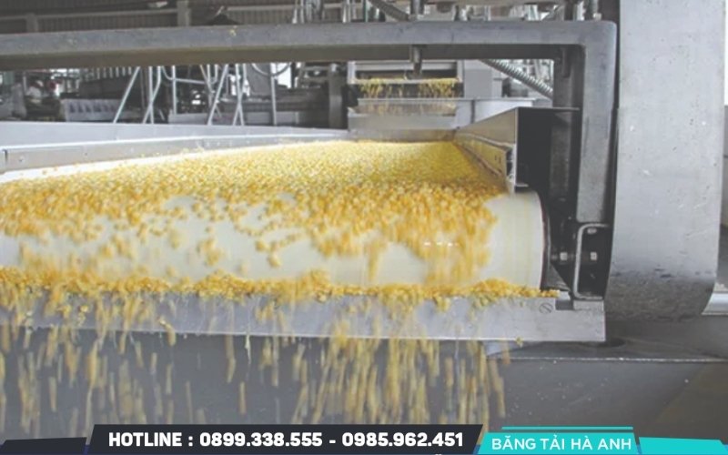 Nguyên liệu thô như ngô, đậu nành, bột cá, cám gạo cần được kiểm tra chất lượng