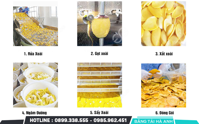 Quy trình sản xuất xoài sấy dẻo