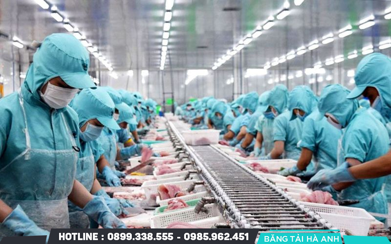 Vai Trò của Quy Trình Sản Xuất Thực Phẩm