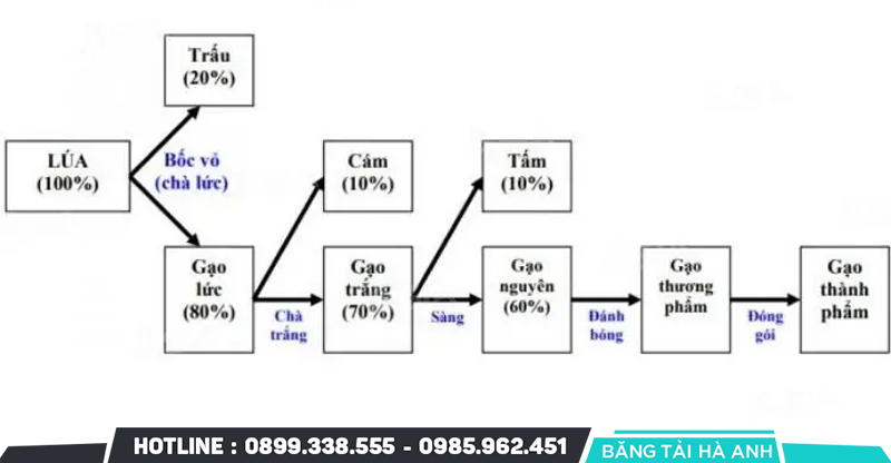 Quy trình sản xuất gạo chi tiết