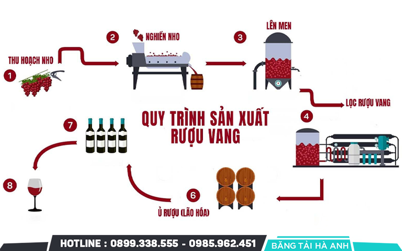 Quy trình sản xuất rượu