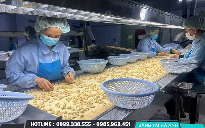 Lợi ích của hạt điều đối với sức khoẻ