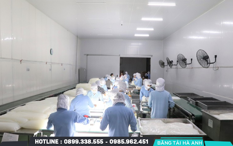 Lợi ích và ứng dụng của thạch dừa