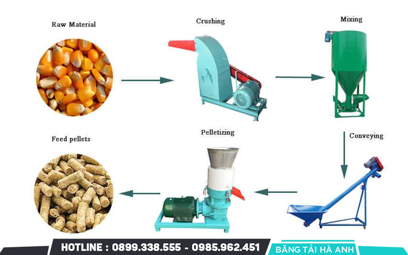 Quy trình sản xuất thức ăn chăn nuôi chi tiết