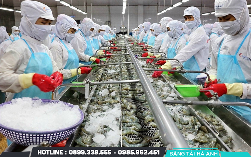 Tôm đông lạnh IQF