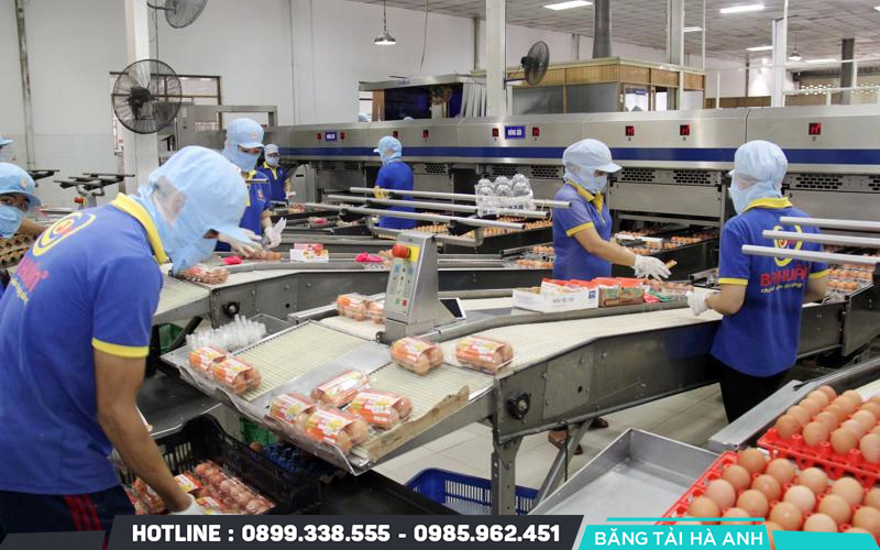 Quy Trình Sản Xuất Thực Phẩm