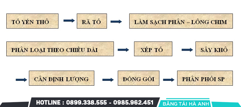 Quy trình sản xuất yến sào
