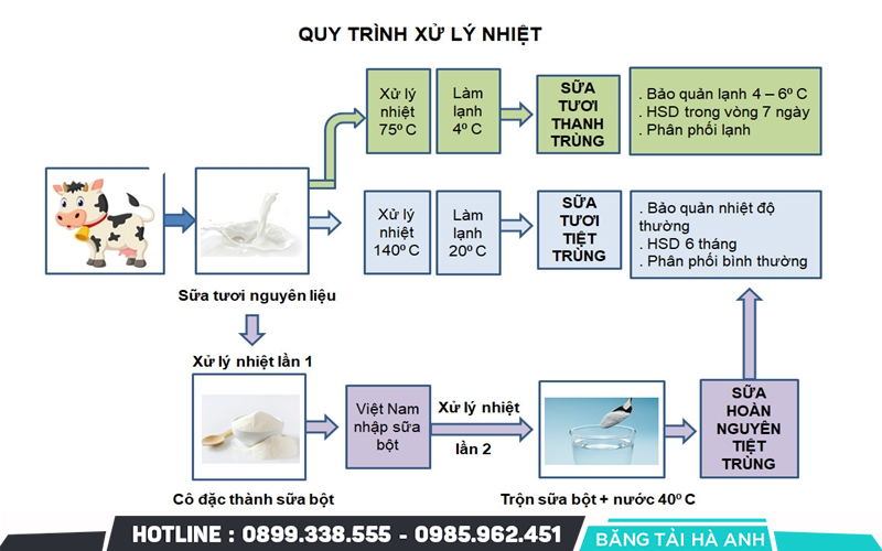 Quy trình sản xuất sữa
