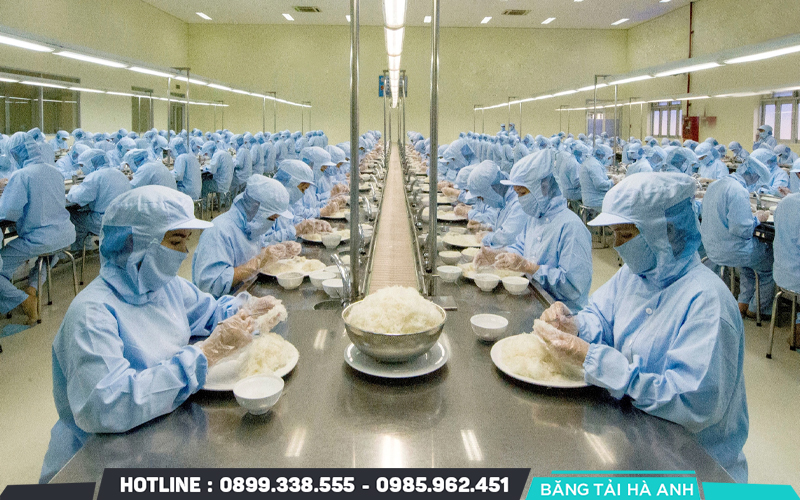 Quy trình sản xuất yến sào