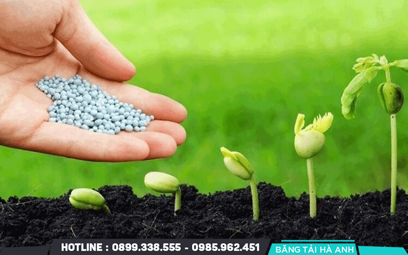 Lợi Ích Của Việc Sử Dụng Đạm Ure