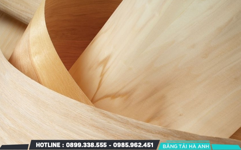 Máy lạng tạo ra các lớp gỗ mỏng đều nhau từ 0,3 mm đến 3,6 mm