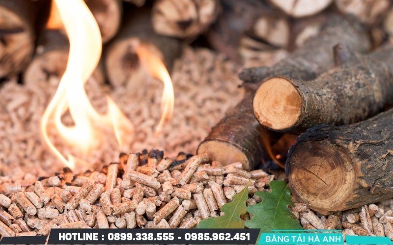 Viên nén gỗ là nhiên liệu sinh học được sản xuất từ mùn cưa, dăm bào, vỏ cây