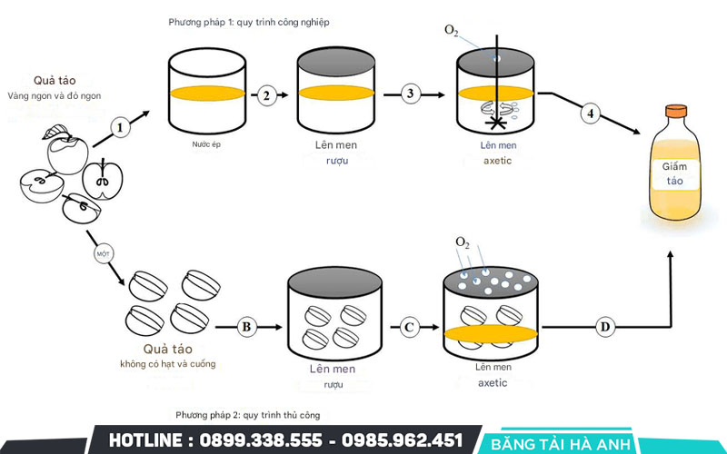 Quá trình sản xuất giấm táo