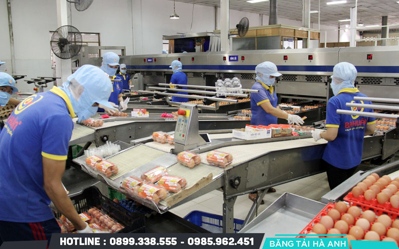 Vai trò của ngành sản xuất thực phẩm trong xã hội