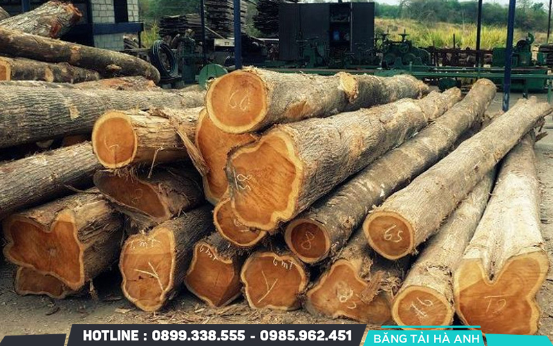 Giới thiệu về gỗ