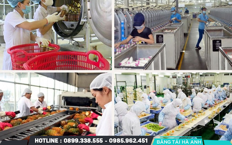 Quy trình sản xuất thực phẩm cơ bản