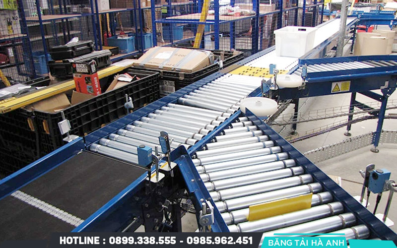 Tìm Hiểu Về Hệ Thống Phân Loại Sản Phẩm