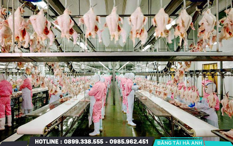 Những xu hướng nổi bật trong ngành sản xuất thực phẩm