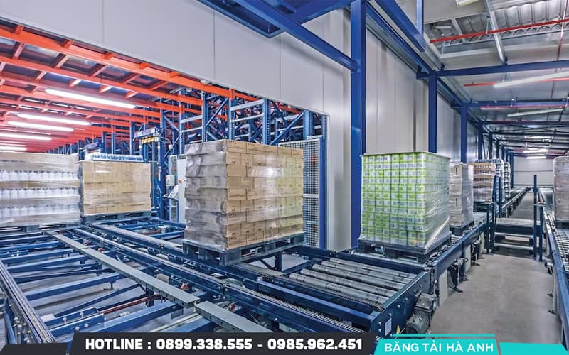 Hệ Thống Băng Tải Pallet – Đặc Điểm Và Ứng Dụng