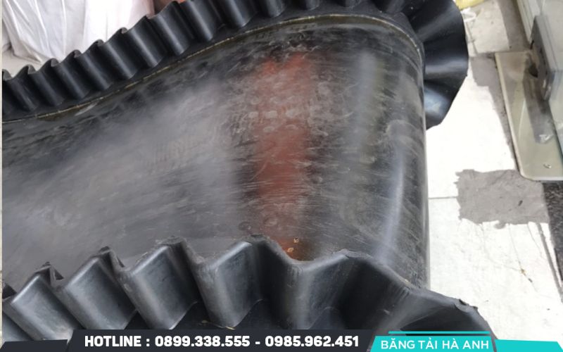 Băng tải cao su tai bèo được sử dụng rộng rãi trong nhiều ngành công nghiệp