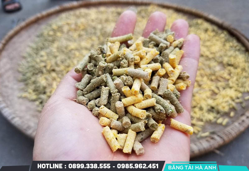 Dây chuyền sản xuất cám viên đóng vai trò quan trọng trong ngành chăn nuôi