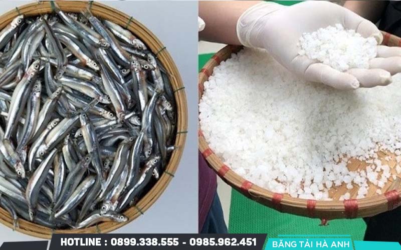 Chuẩn bị nguyên liệu và kiểm tra chất lượng kỹ lưỡng trước khi đưa vào sản xuất