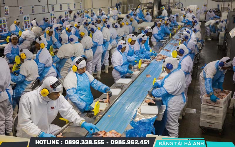 HACCP cần được áp dụng xuyên suốt từ nguồn nguyên liệu đến sản phẩm hoàn thiện