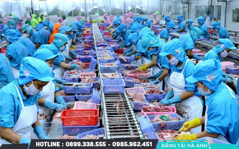 Công nghiệp chế biến nông, lâm, thủy sản là mắt xích quan trọng trong chuỗi giá trị nông nghiệp