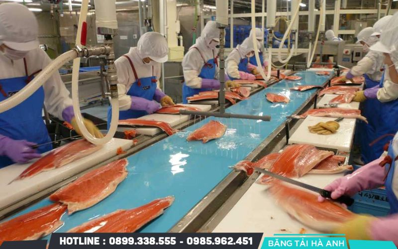 Băng tải cho ngành thực phẩm là hệ thống cơ khí sử dụng các dải dây chuyền chuyển động nhờ động cơ để đưa thực phẩm