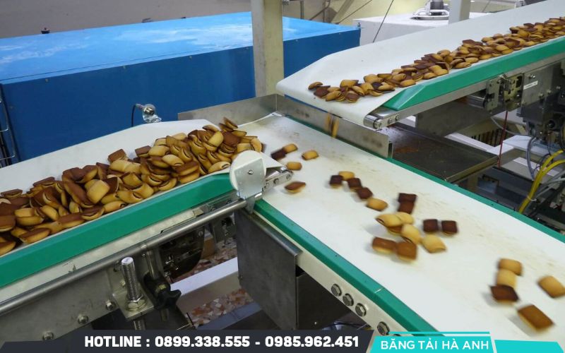 Dây băng tải là phần tiếp xúc trực tiếp với thực phẩm nên yêu cầu cao về chất lượng và an toàn