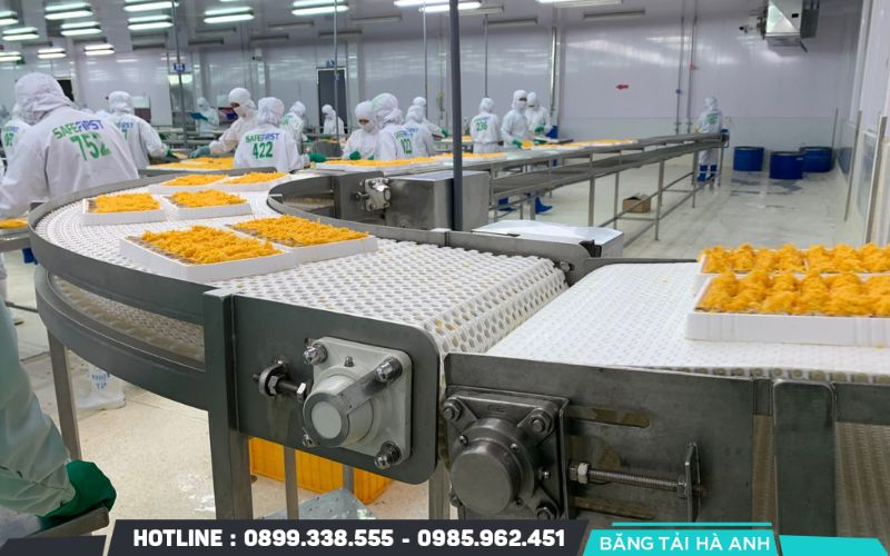 Băng tải xích nhựa thực phẩm