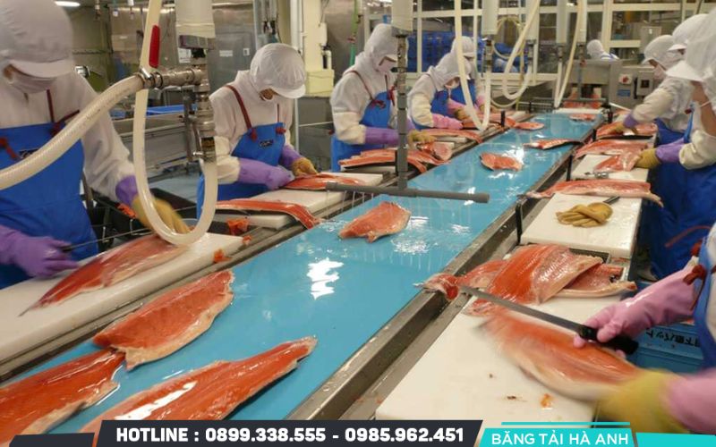 Băng tải dây đai ứng dụng trong ngành thực phẩm