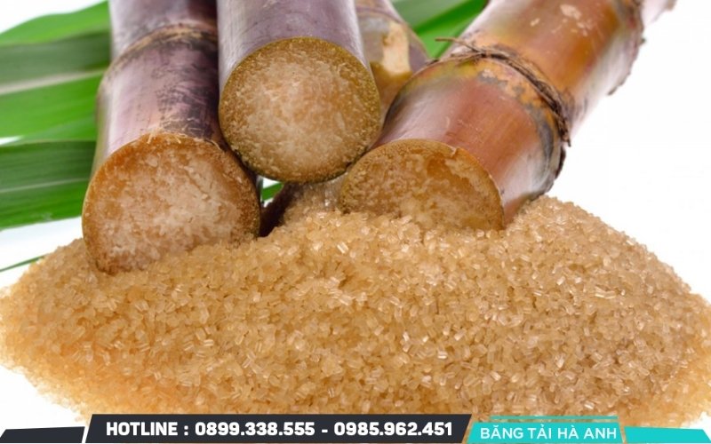 Mía được thu hoạch khi đạt độ chín thích hợp, đảm bảo hàm lượng đường cao nhất