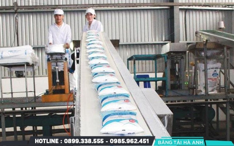 Băng tải được ứng dụng trong dây chuyền sản xuất đường mía