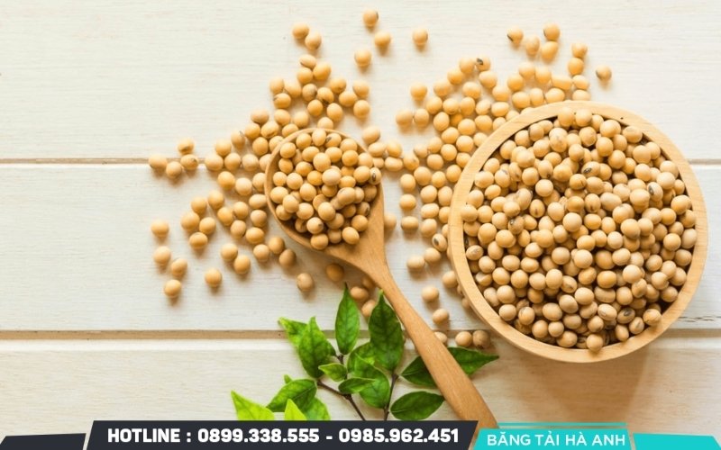 Bước đầu tiên trong quy trình sản xuất sữa đậu nành đó là lựa chọn hạt đậu chất lượng