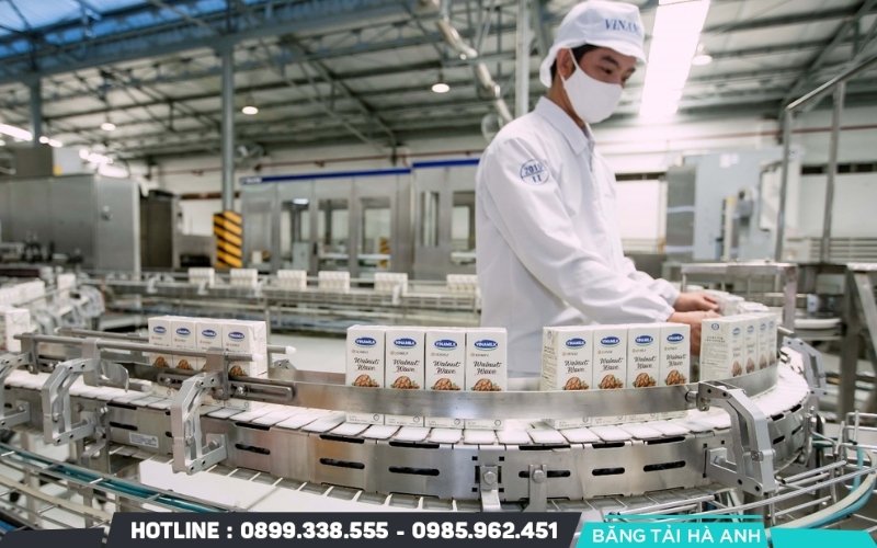 Sữa đậu nành được đóng hộp kín và đưa đến khâu phân loại