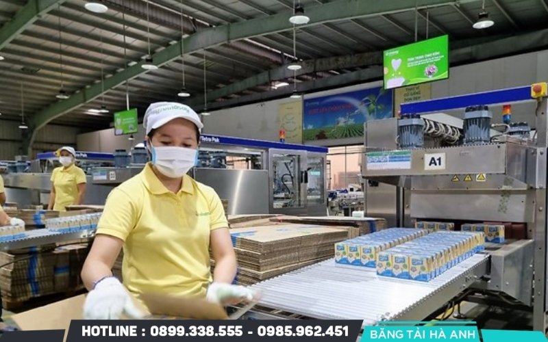 Băng tải được sử dụng để giúp quy trình sản xuất sữa đậu nành diễn ra nhanh chóng và hiệu quả hơn