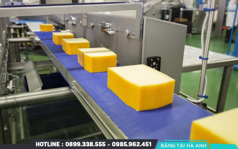 Dây chuyền sản xuất phô mai là hệ thống thiết bị được thiết kế để xử lý sữa tươi thành phô mai