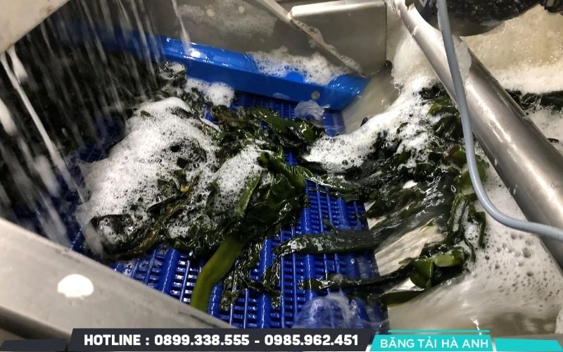 Sự kết hợp giữa các loại máy móc tạo nên một dây chuyền sản xuất khép kín