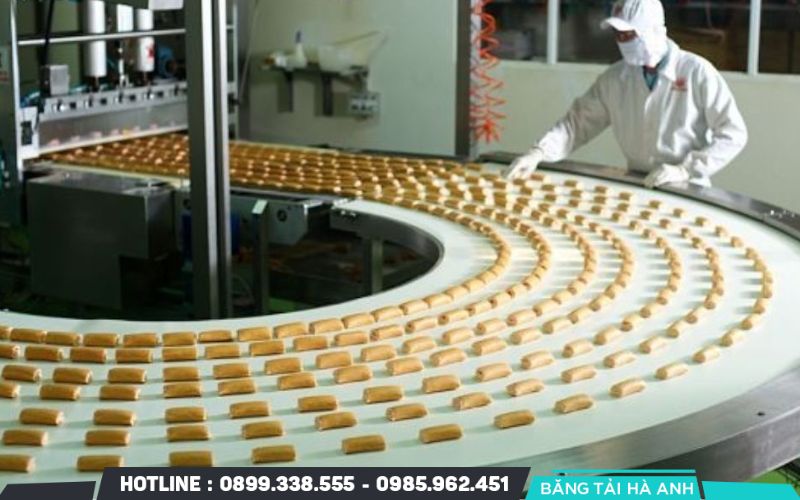 Chọn băng tải chuyên dụng cho ngành thực phẩm đòi hỏi sự cân nhắc dựa trên các tiêu chuẩn nghiêm ngặt về an toàn