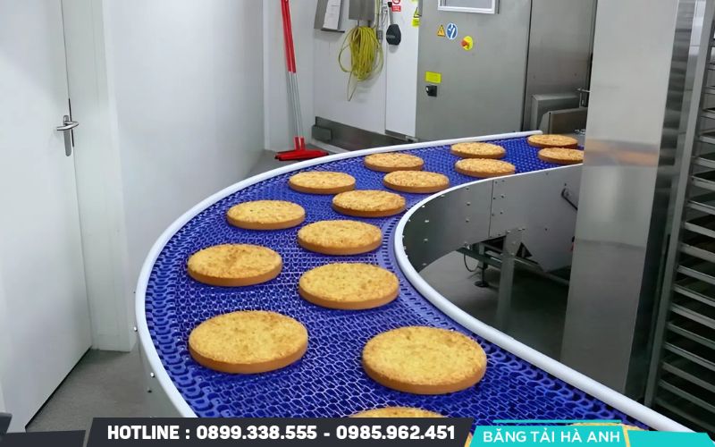 Dây chuyền băng tải cho ngành chế biến thực phẩm, đồ uống và dược phẩm