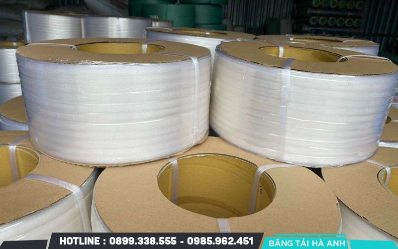 Dây Chuyền Sản Xuất Dây Đai Nhựa PP