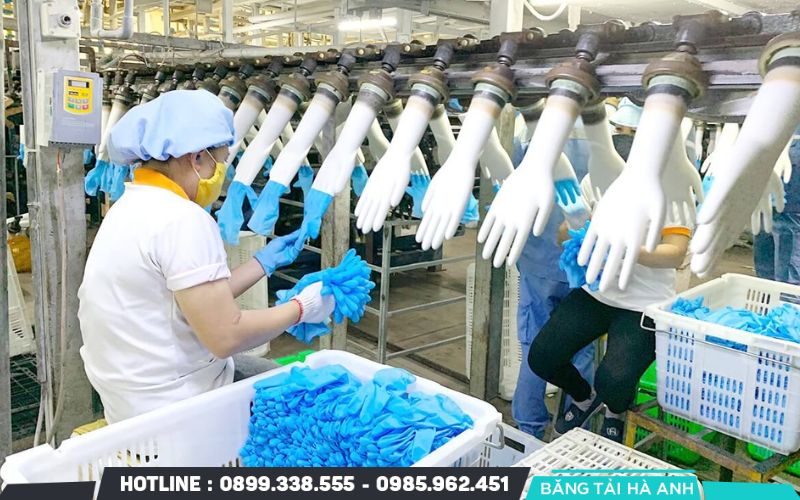 Dây Chuyền Sản Xuất Găng Tay Y Tế