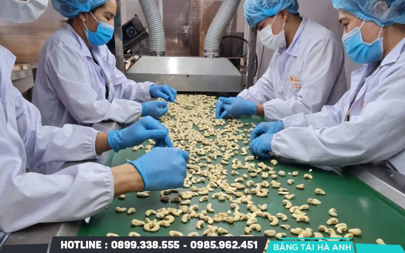 Phân loại và đóng gói lại thành phẩm