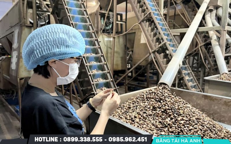 Một dây chuyền sản xuất tự động có thể thay thế hàng chục lao động thủ công