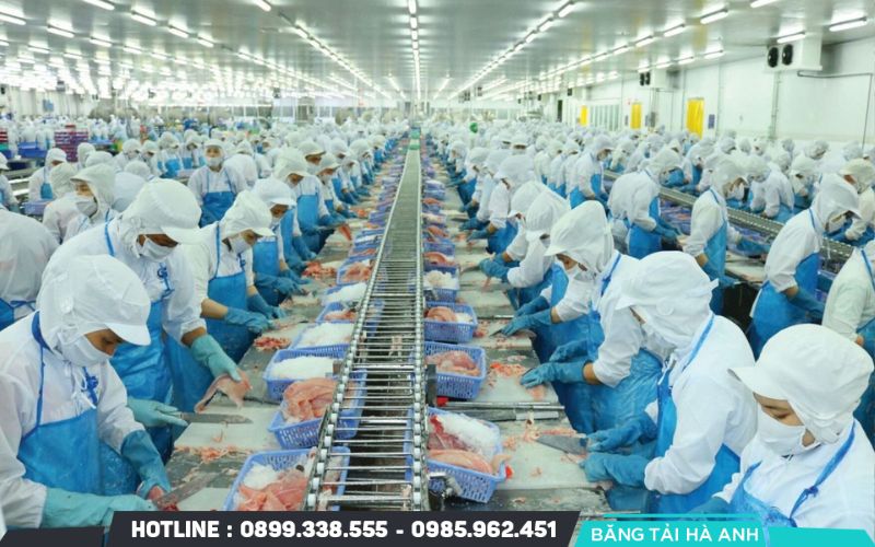 Dây chuyền thực phẩm đông lạnh đòi hỏi kiểm soát nhiệt độ nghiêm ngặt và tốc độ vận hành chính xác