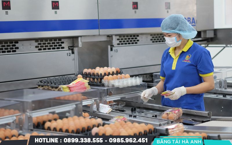 Toàn bộ thiết bị tiếp xúc trực tiếp với thực phẩm phải được làm từ vật liệu an toàn